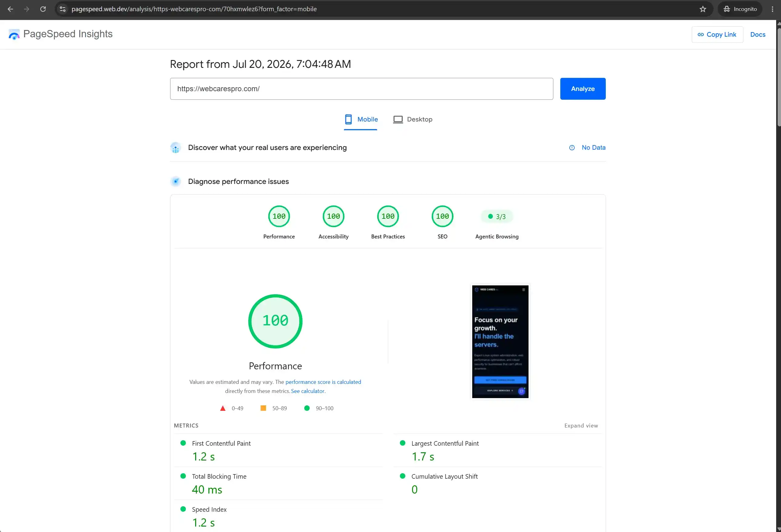 Google PageSpeed Insights Mobile Report - 100/100 Score WebCare Pro Mobile Page Speed Audit showing a perfect 100 out of 100 score in Google PageSpeed Insights for mobile.